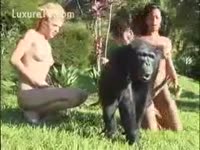 Bestiality XXX DVD - Monkey touching glamorous hotties